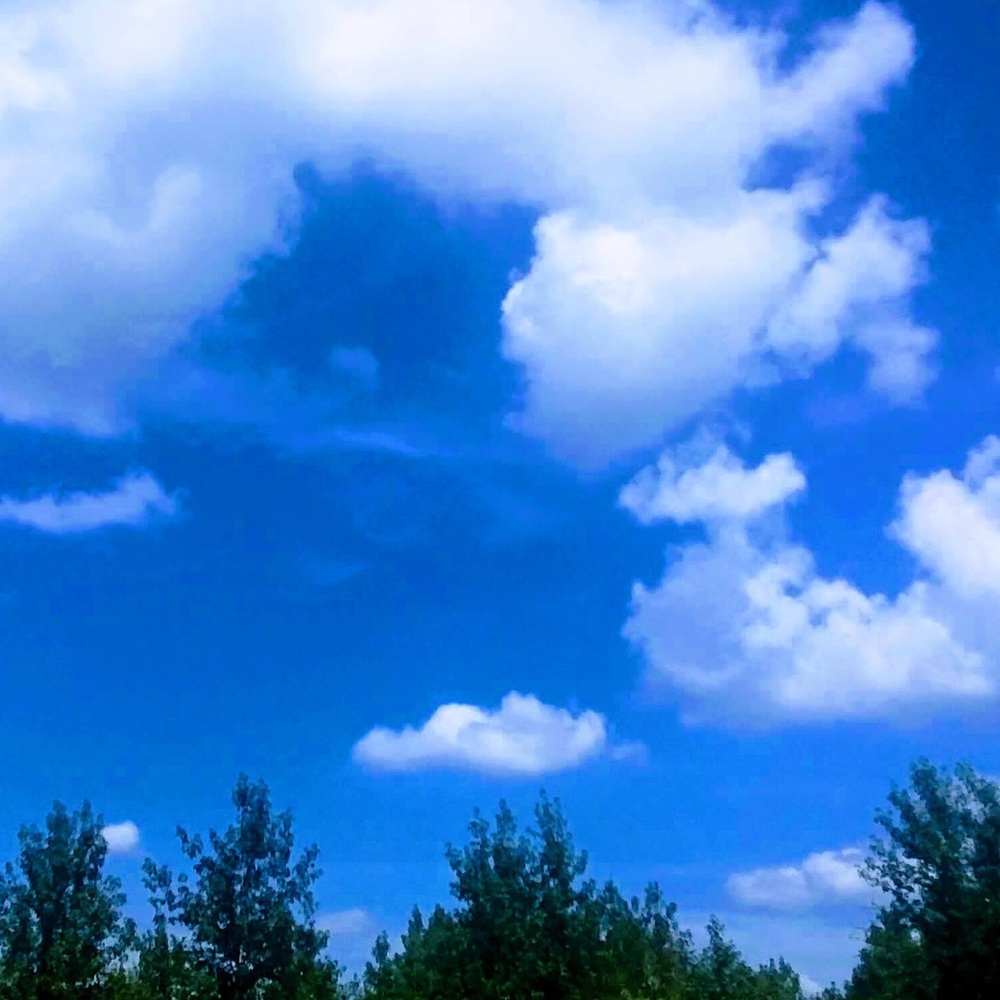 Meet your Posher, Treasure